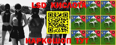 гашик Можга