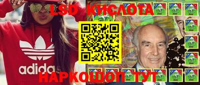 стаф Моздок