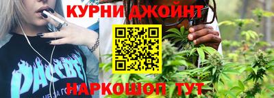 гашик Можга