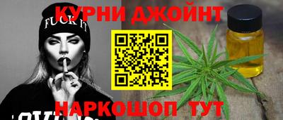 гашик Можга