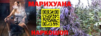 стаф Моздок