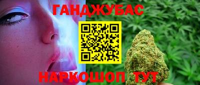 гашик Можга