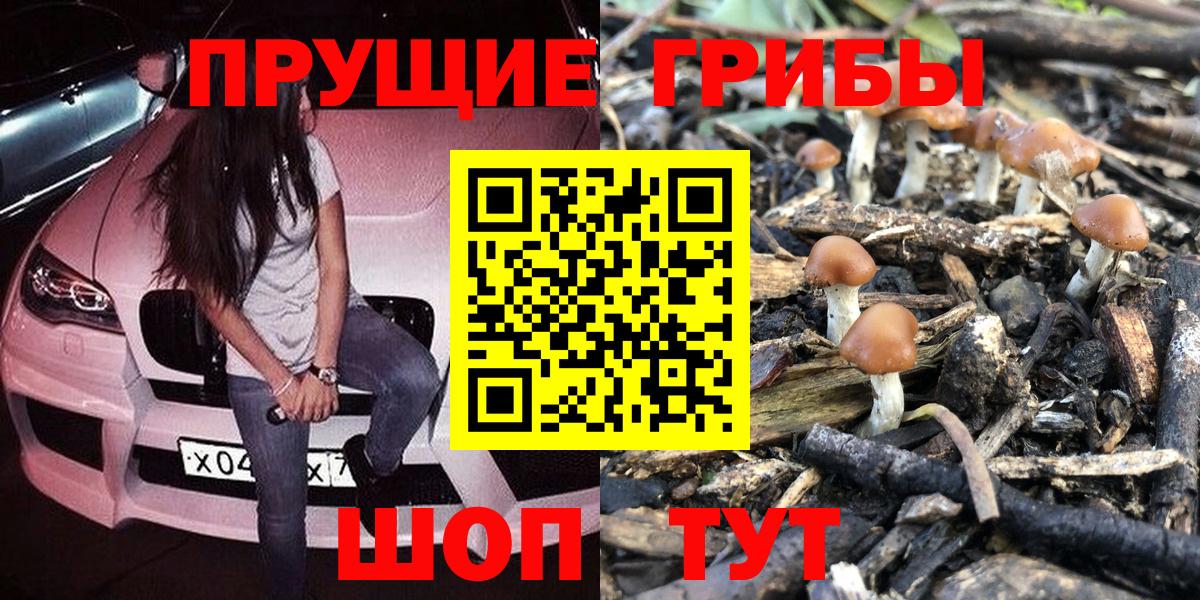 Галлюциногенные грибы Cubensis  Вход с VPN  Выборг  Псилоцибиновые грибы Magic Shrooms 